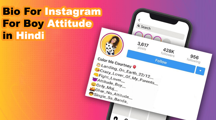 Instagram Bio For Boy Attitude in Hindi